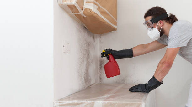 Professional Crawl Space Mold Remediation technician working in East Walpole, MA