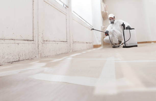 24/7 Emergency Crawl Space Mold Remediation experts in East Walpole, MA