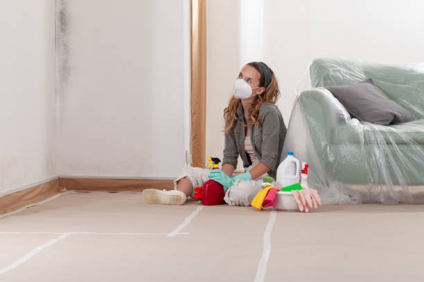 Reliable Crawl Space Mold Remediation contractor in East Walpole, MA by 24 Hour Mold Removal